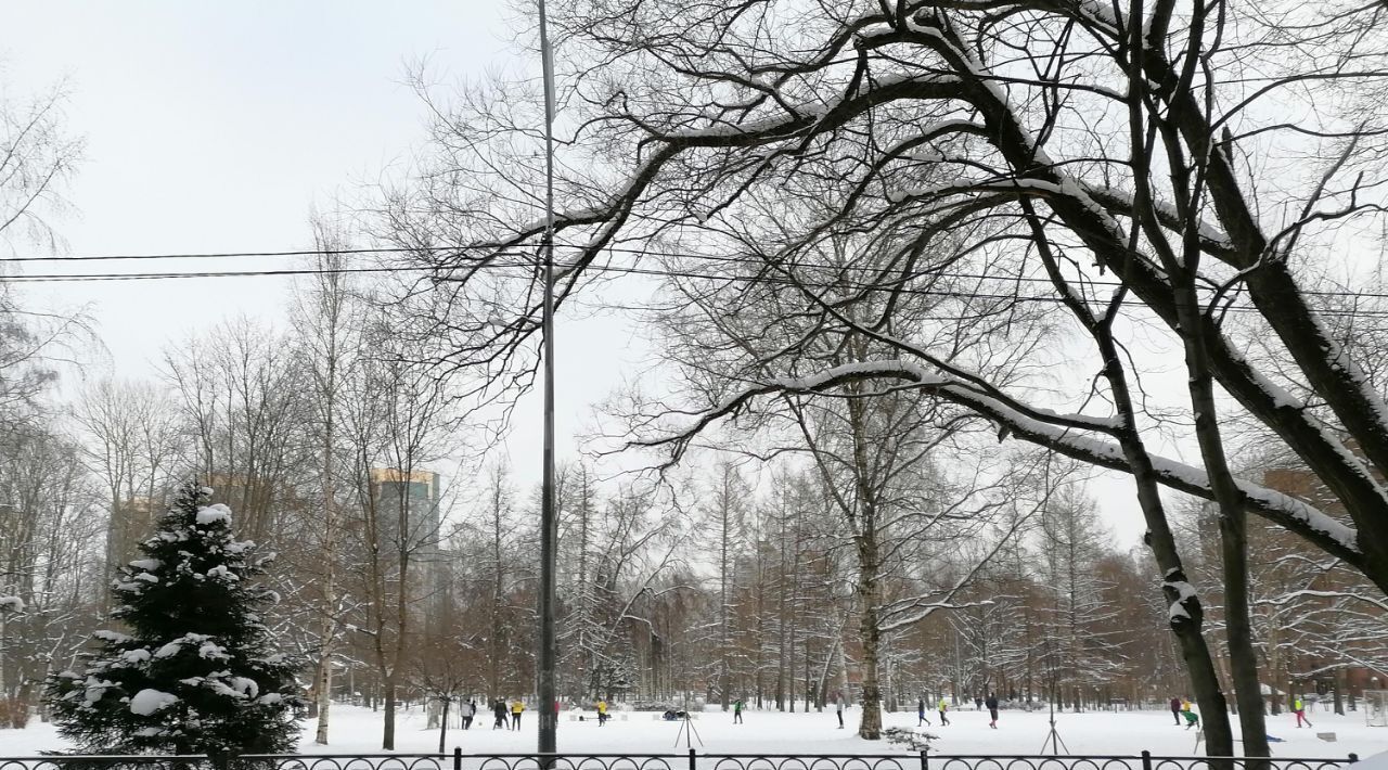 квартира г Санкт-Петербург метро Удельная пр-кт Костромской 48 округ Светлановское фото 21