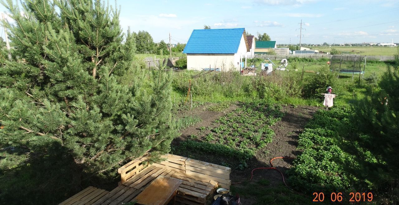 земля г Омск снт Здоровье Тюкалинский тракт, 18 км, Дружинское сельское поселение, Омский р-н фото 4