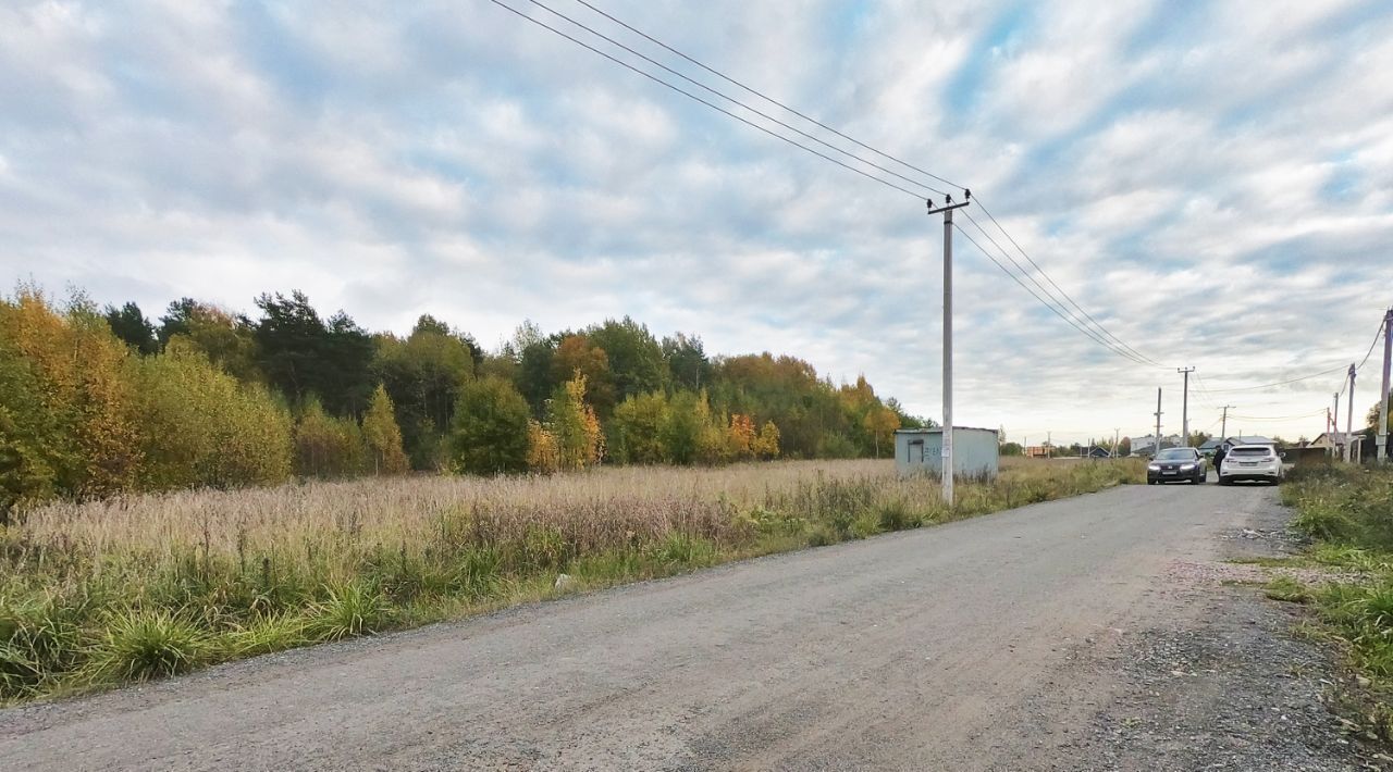 земля р-н Всеволожский Колтушское городское поселение, Кинза кп, Пролетарская фото 7