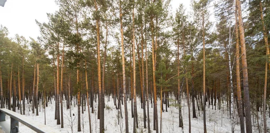 квартира р-н Емельяновский п Емельяново ул Аэропорт 3 фото 12