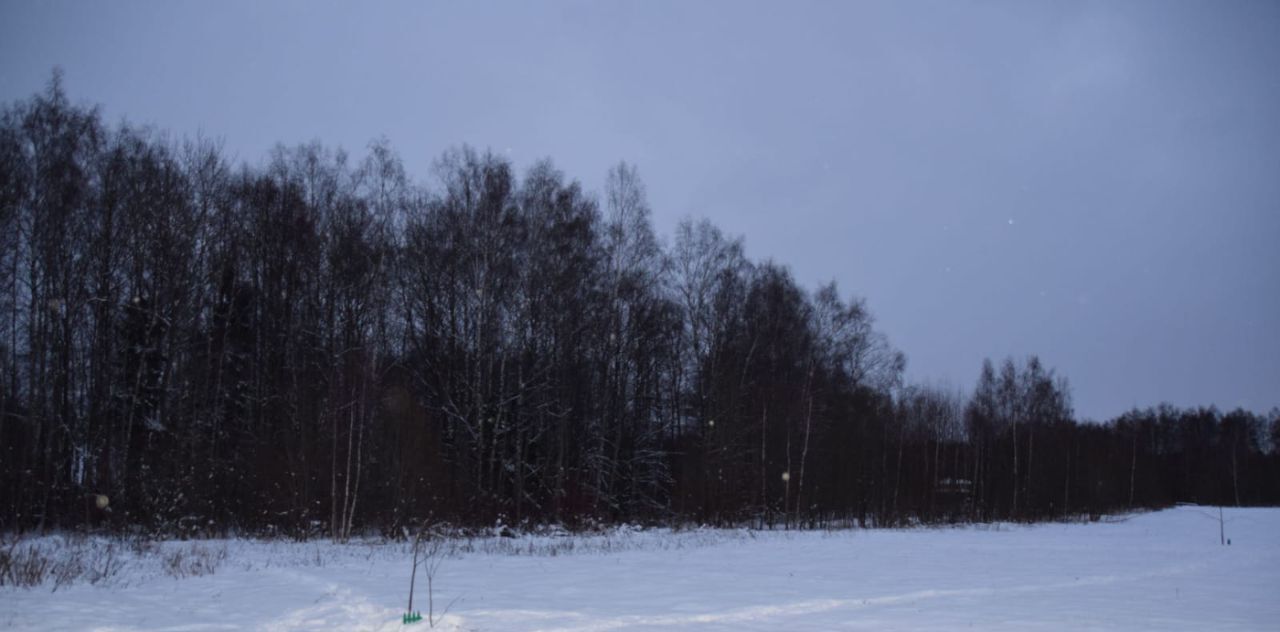 земля городской округ Мытищи д Долгиниха фото 6