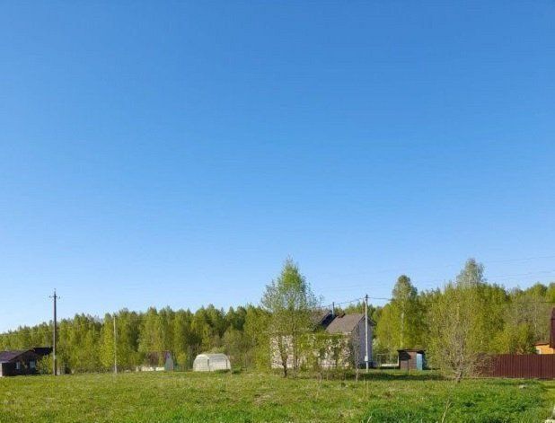 земля Толмачевское городское поселение, ДНП, Проспект Ветеранов, Лужский район, Заповедное фото 2