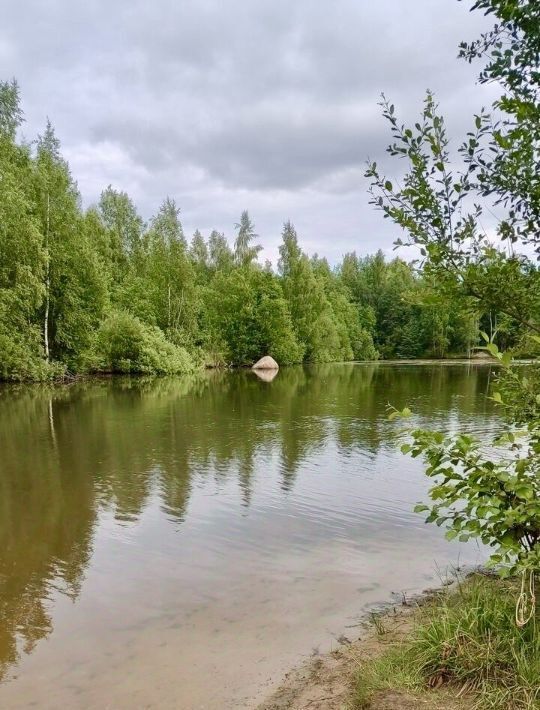 земля р-н Лужский п Мшинская Мшинское с/пос, Проспект Ветеранов, 468, Нева СНТ фото 14