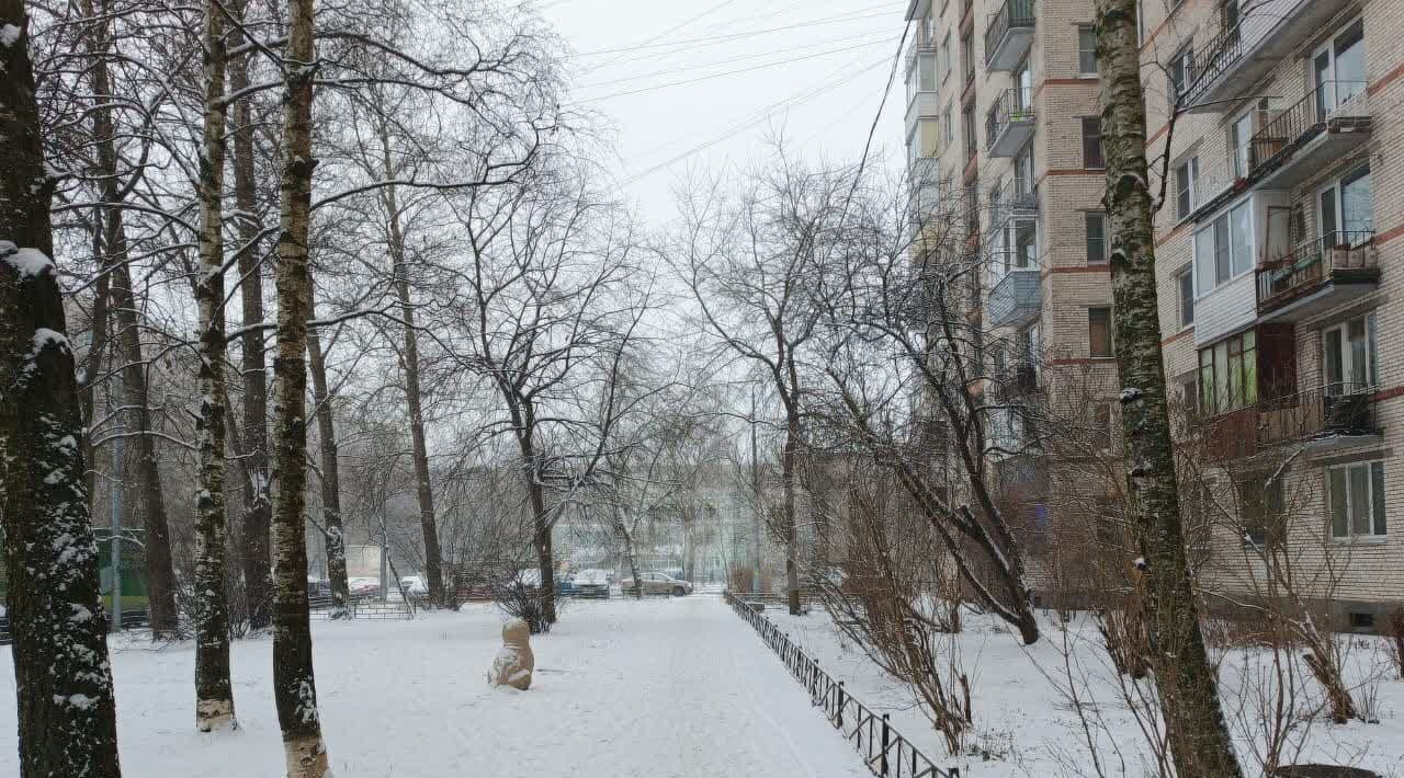 квартира г Санкт-Петербург метро Проспект Ветеранов ул Пограничника Гарькавого 36к/2 округ Константиновское фото 17