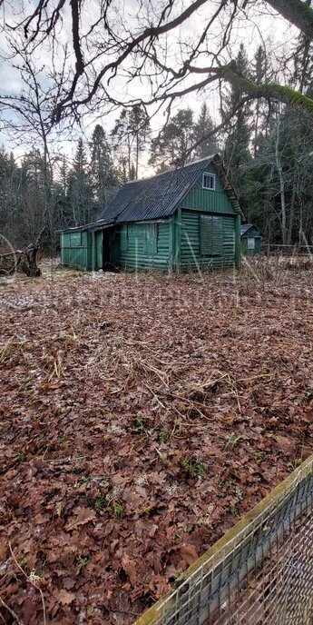 дом р-н Лужский д Большие Изори ул Центральная Заклинское сельское поселение фото 1