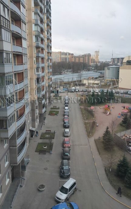 квартира г Санкт-Петербург метро Площадь Мужества р-н Пискарёвка пр-кт Непокорённых 49к/2 фото 13