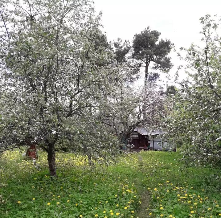 дом г Луга Луга-2 ул Восточная 4 Лужское городское поселение фото 27