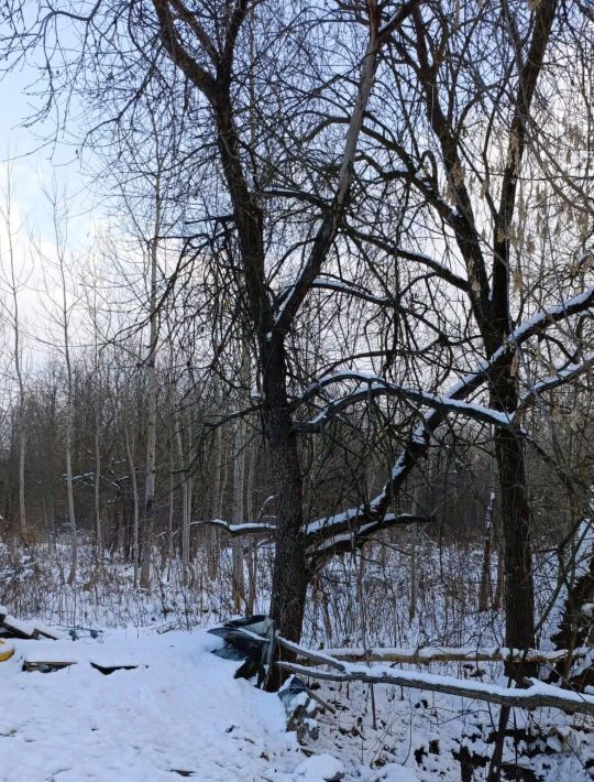 офис городской округ Талдомский г Талдом ул Советская фото 5