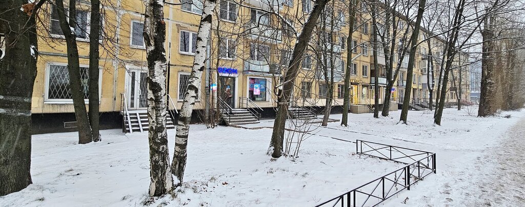 квартира г Санкт-Петербург метро Московская пр-кт Ленинский 162 округ Новоизмайловское фото 6