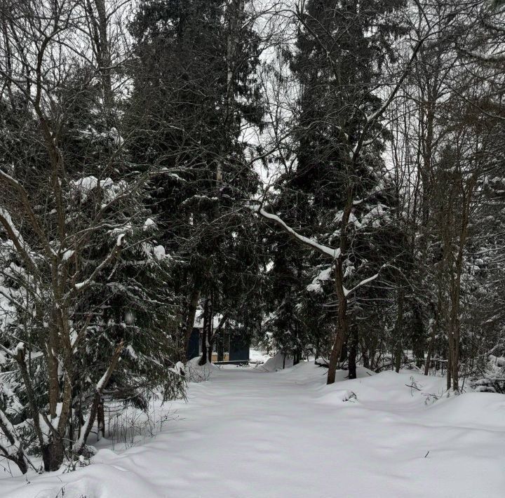 земля городской округ Истра д Лисавино лпх, Зеленоград — Крюково фото 2