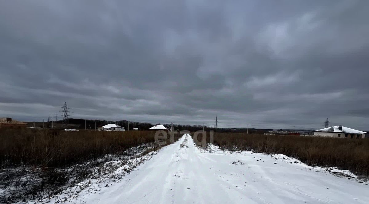 земля р-н Белгородский с Стрелецкое ул 252-й Стрелковой дивизии фото 5