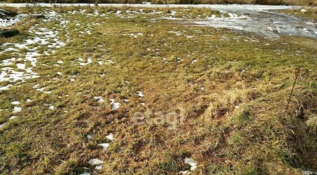 земля с Толмачево ул Новая фото