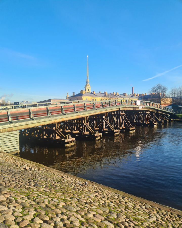 свободного назначения г Санкт-Петербург метро Горьковская ул Блохина 2/77 округ Введенский, Петроградка фото 22