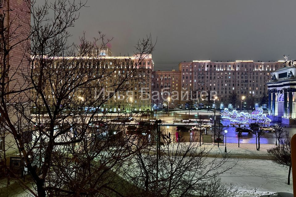 квартира г Москва пл Победы 2/1 Западный административный округ фото 10