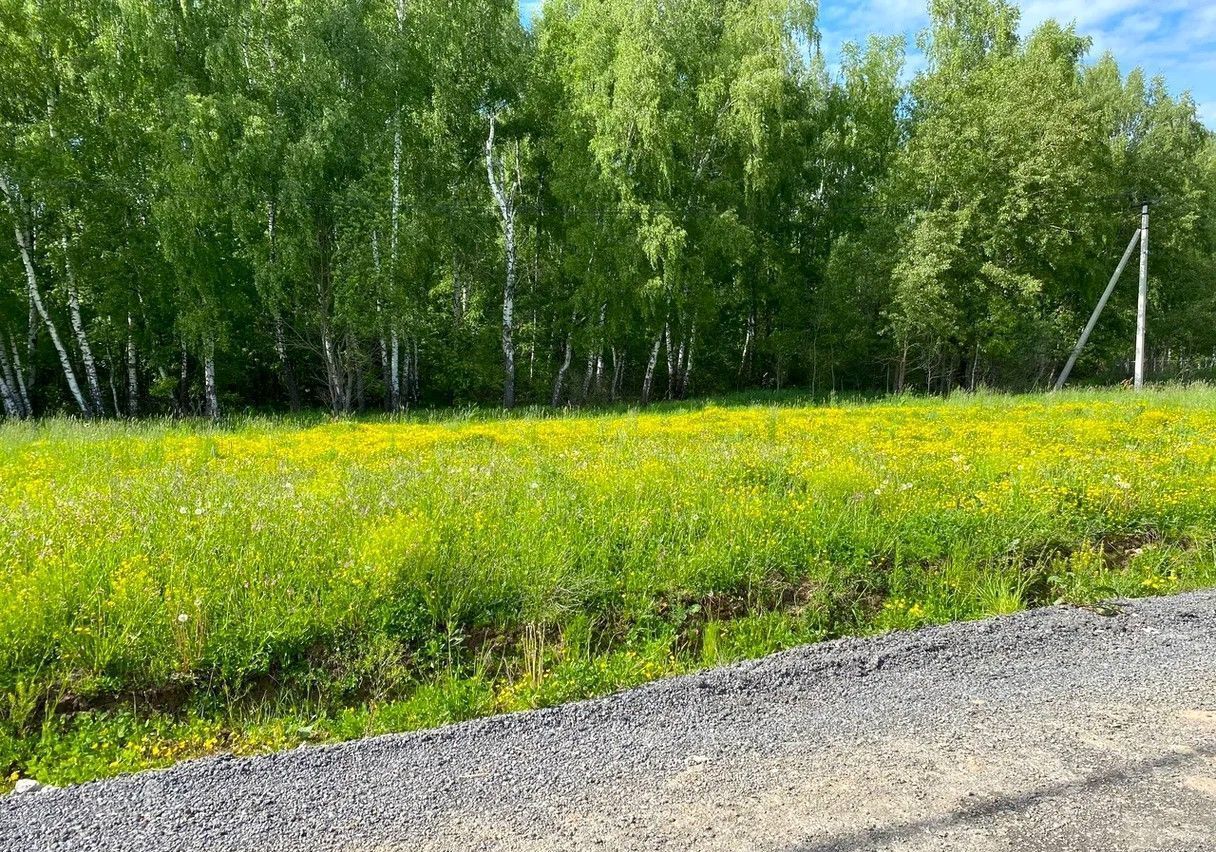 земля городской округ Домодедово 31 км, с. Красный Путь, мкр-н Белые Столбы-2, Новокаширское шоссе фото 2