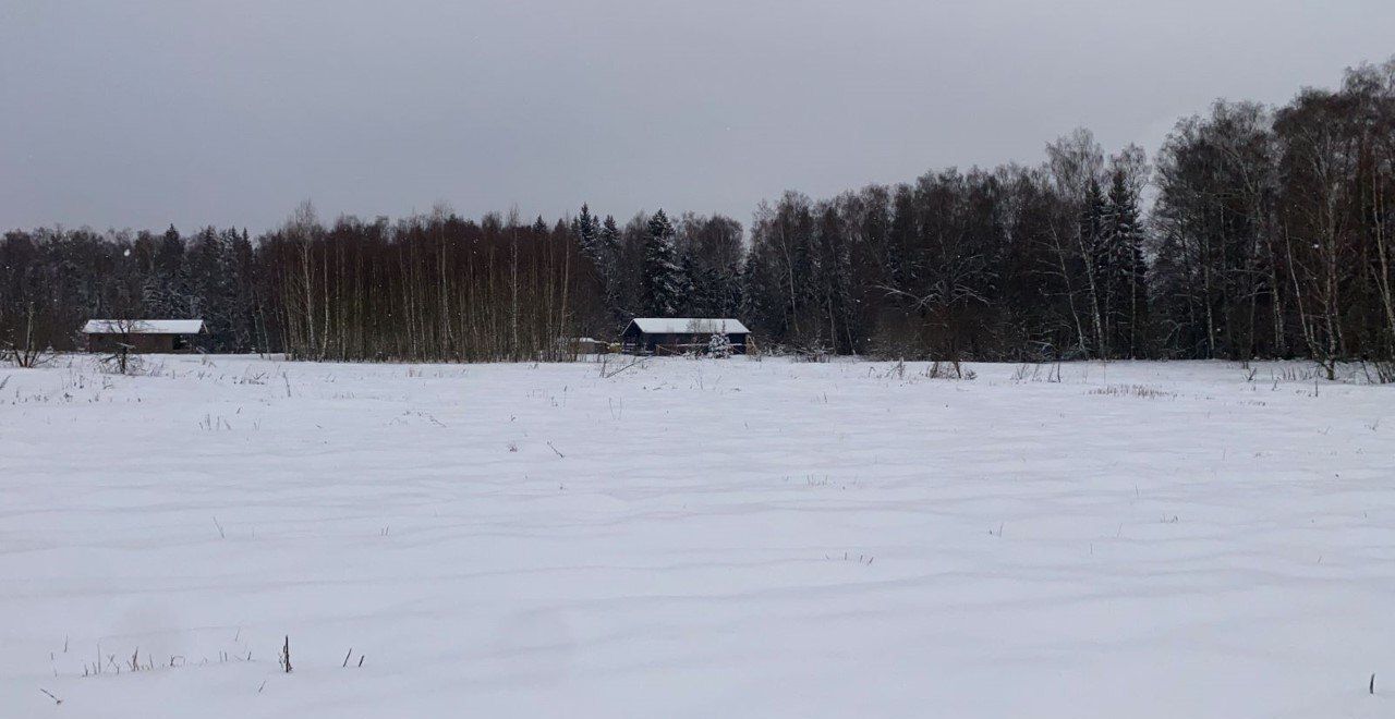 земля городской округ Истра д Сафонтьево днп терСафонтьевские дачи 39 км, Истра, Волоколамское шоссе фото 8