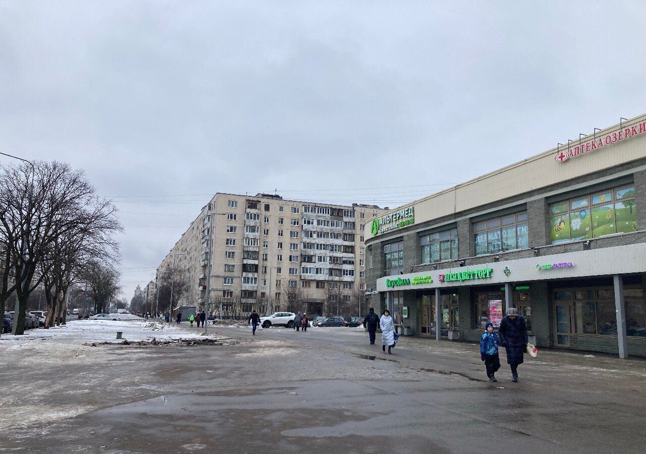 торговое помещение г Санкт-Петербург метро Купчино ул Олеко Дундича 17к/1 округ Балканский фото 4