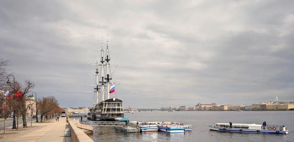 квартира г Санкт-Петербург метро Горьковская ул Куйбышева 32 округ Посадский, Петроградка фото 48