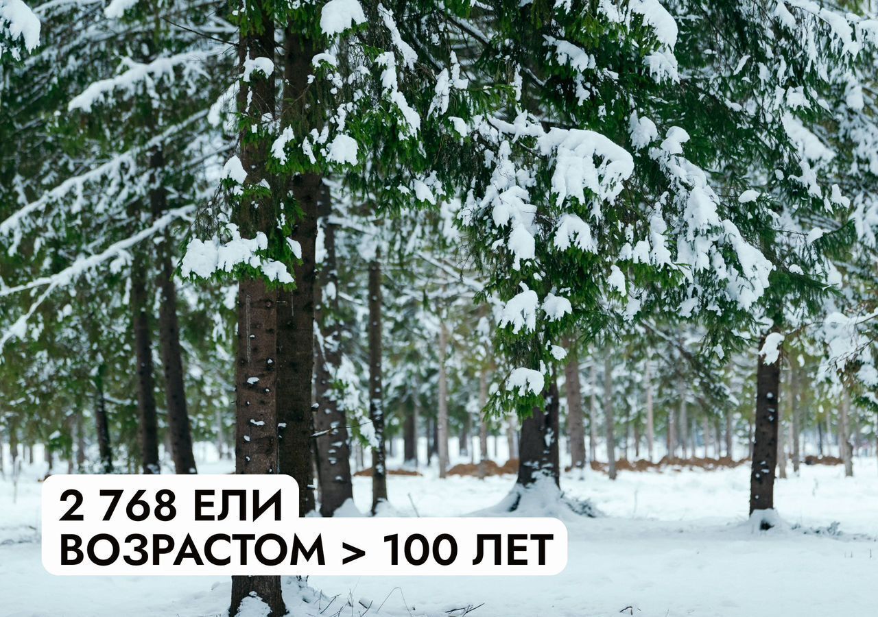 земля городской округ Истра д Сысоево 31 км, 36, Истра, Волоколамское шоссе фото 23