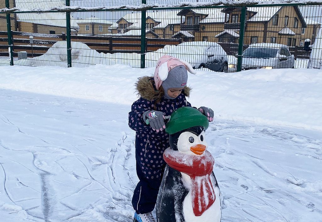 дом р-н Всеволожский д Вартемяги ул Авиаторов 8 Приозерское шоссе, 10 км, Агалатовское сельское поселение, Агалатово фото 7