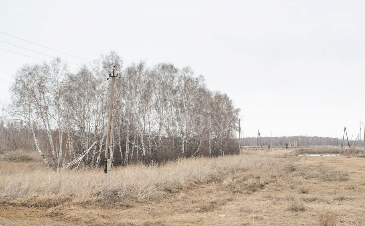 земля р-н Искитимский д Бурмистрово Бурмистровский сельсовет, Бердск фото 10