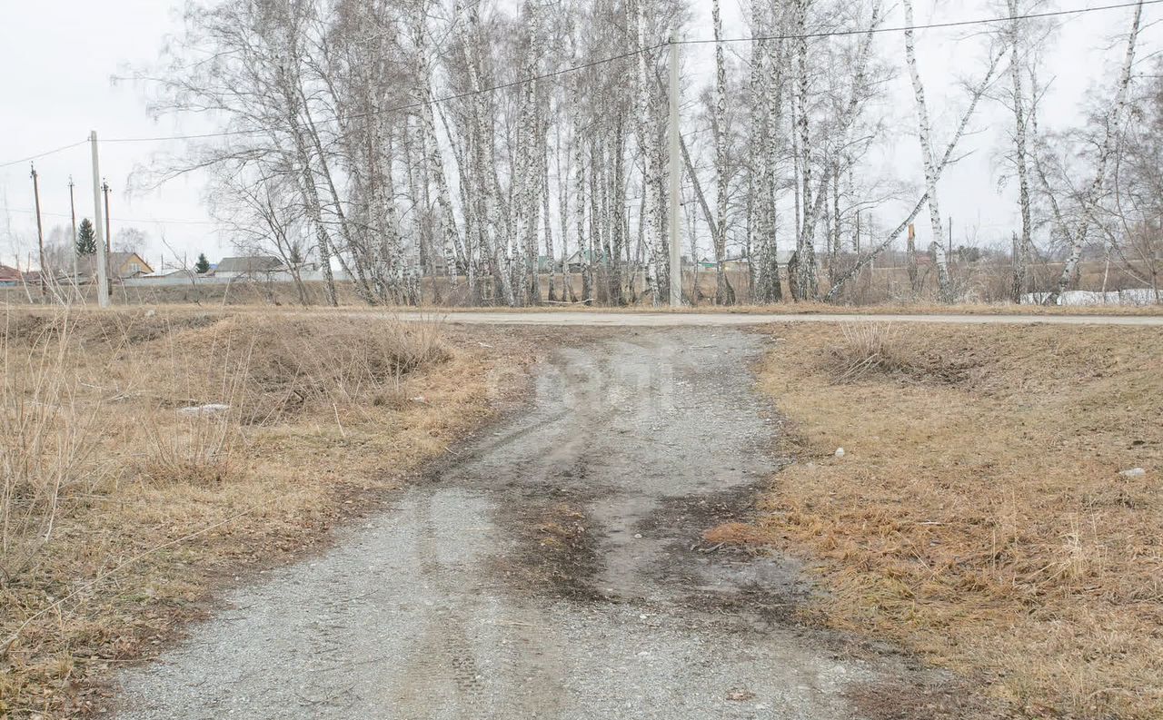 земля р-н Искитимский д Бурмистрово Бурмистровский сельсовет, Бердск фото 19