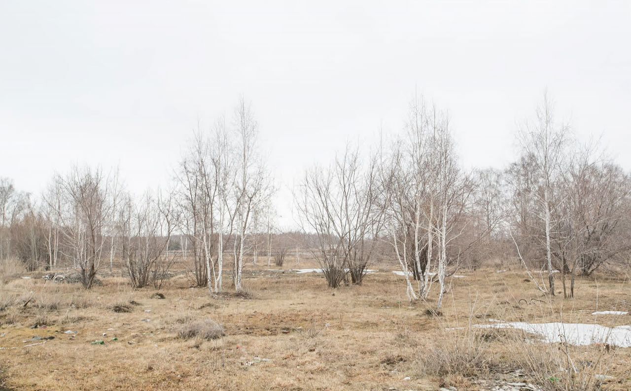 земля р-н Искитимский д Бурмистрово Бурмистровский сельсовет, Бердск фото 21