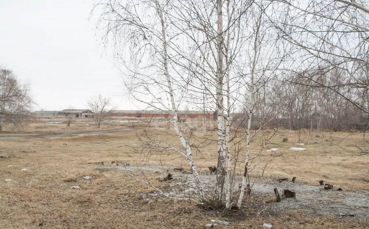 земля р-н Искитимский д Бурмистрово Бурмистровский сельсовет, Бердск фото 30