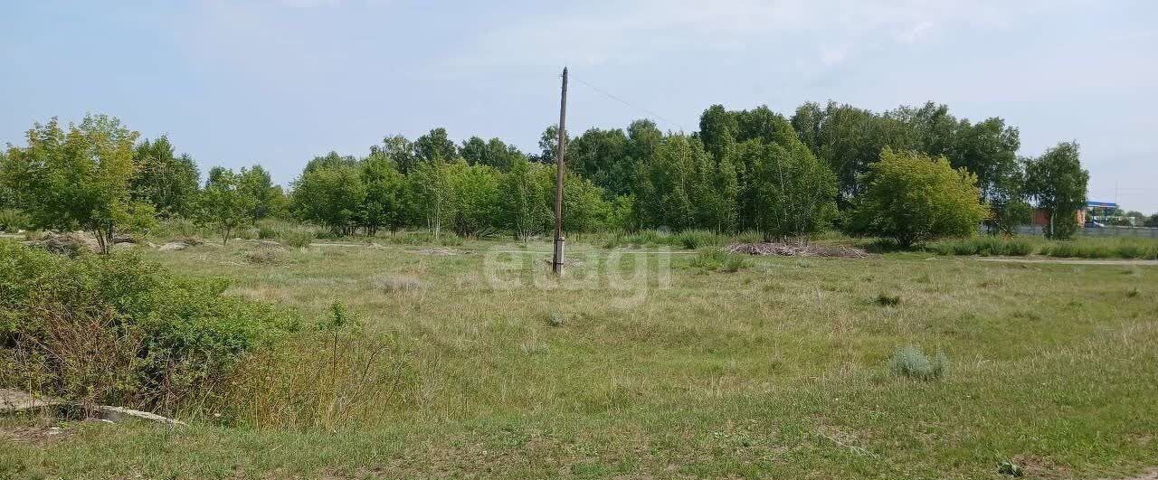 земля р-н Искитимский д Бурмистрово Бурмистровский сельсовет, Бердск фото 7