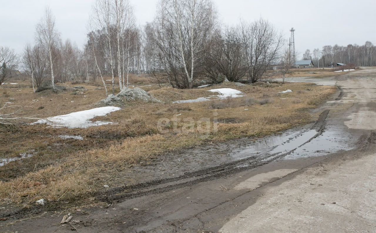 земля р-н Искитимский д Бурмистрово Бурмистровский сельсовет, Бердск фото 34