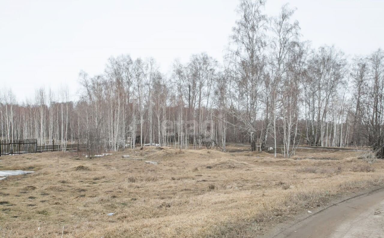 земля р-н Искитимский д Бурмистрово Бурмистровский сельсовет, Бердск фото 27