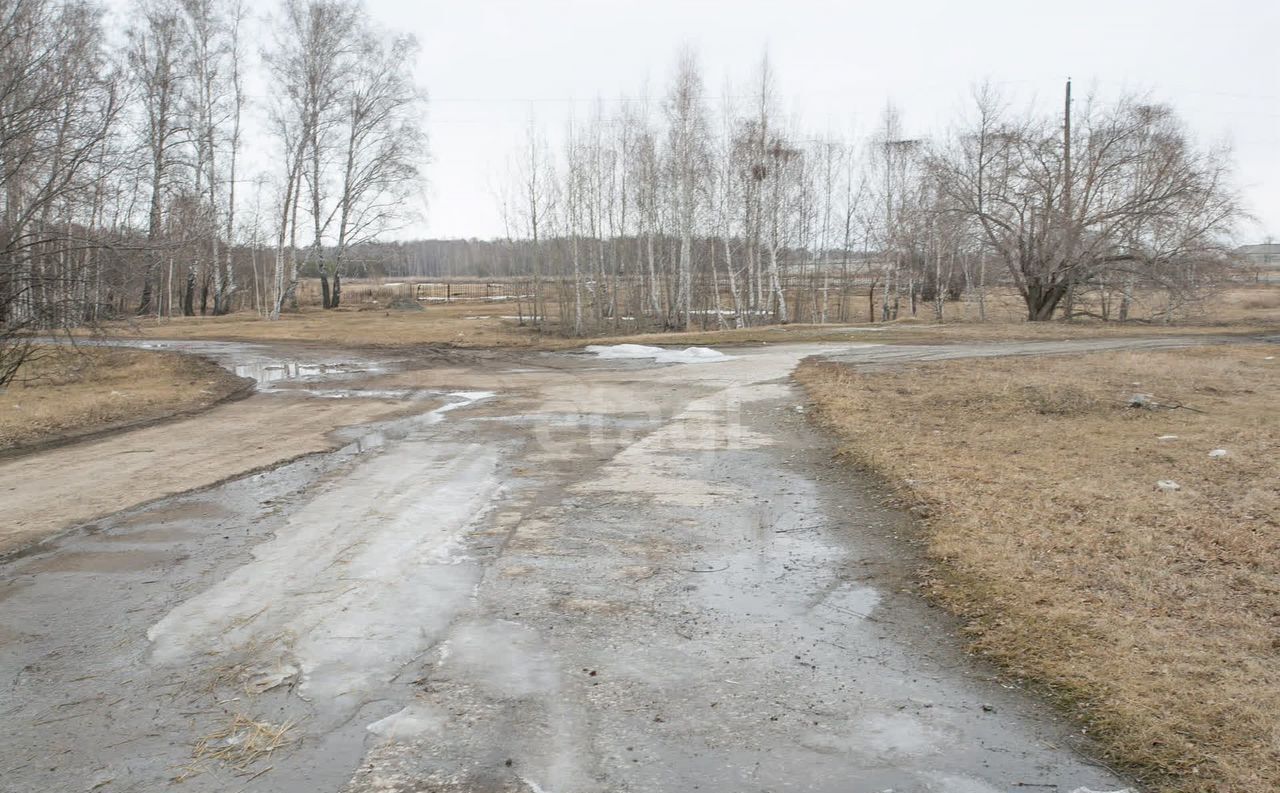 земля р-н Искитимский д Бурмистрово Бурмистровский сельсовет, Бердск фото 31