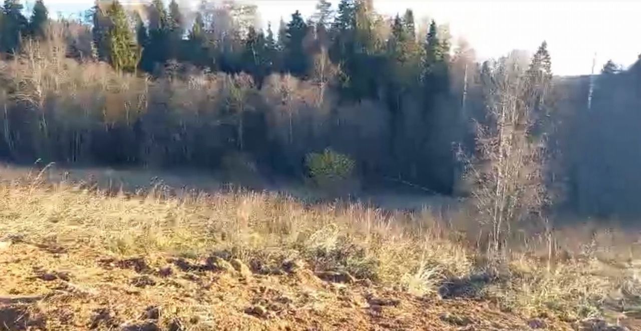 земля городской округ Мытищи д Шолохово ЖК «Экодолье Шолохово» 15 км, Лобня, Дмитровское шоссе фото 6