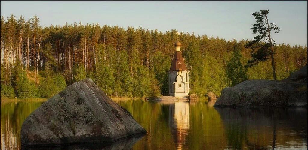 земля р-н Приозерский д Васильево ул Лыжная с пос, Красноозерное фото 4