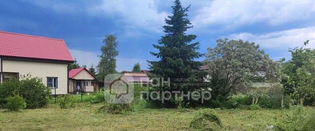 Синявинское городское поселение, Приозерное садовое товарищество, 2-я линия фото