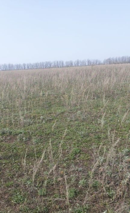 земля р-н Азнакаевский г Азнакаево ул Тургай городское поселение Азнакаево фото 3