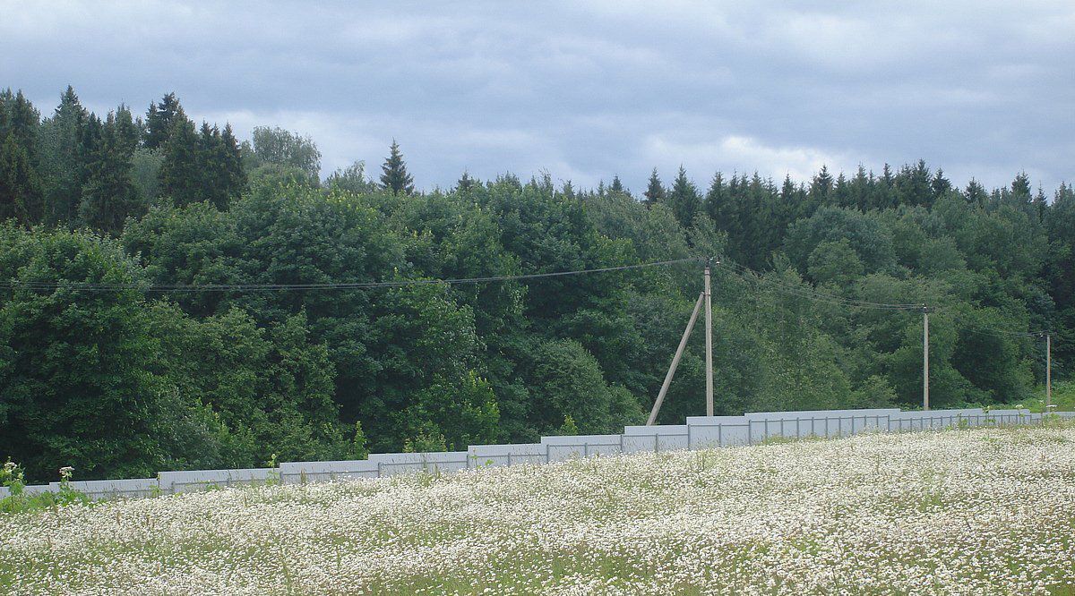 земля городской округ Дмитровский п Муханки фото 1