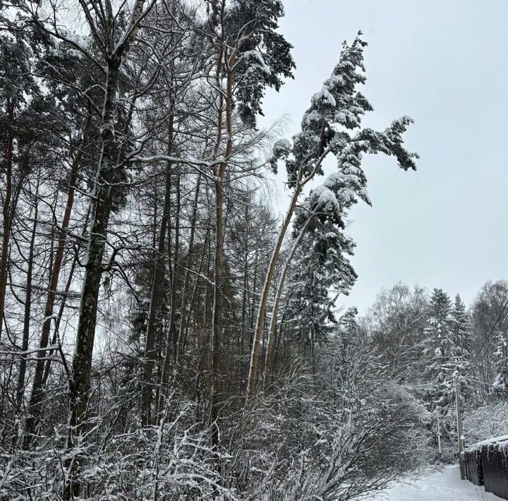 земля городской округ Солнечногорск д Меленки фото 9