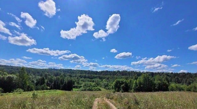 земля р-н Валдайский д Овинчище Яжелбицкое с/пос фото 2