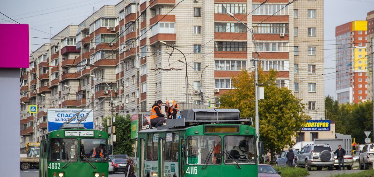 земля г Новосибирск сад снт Зеленый ул Тульская Площадь Маркса, садовое товарищество фото 11