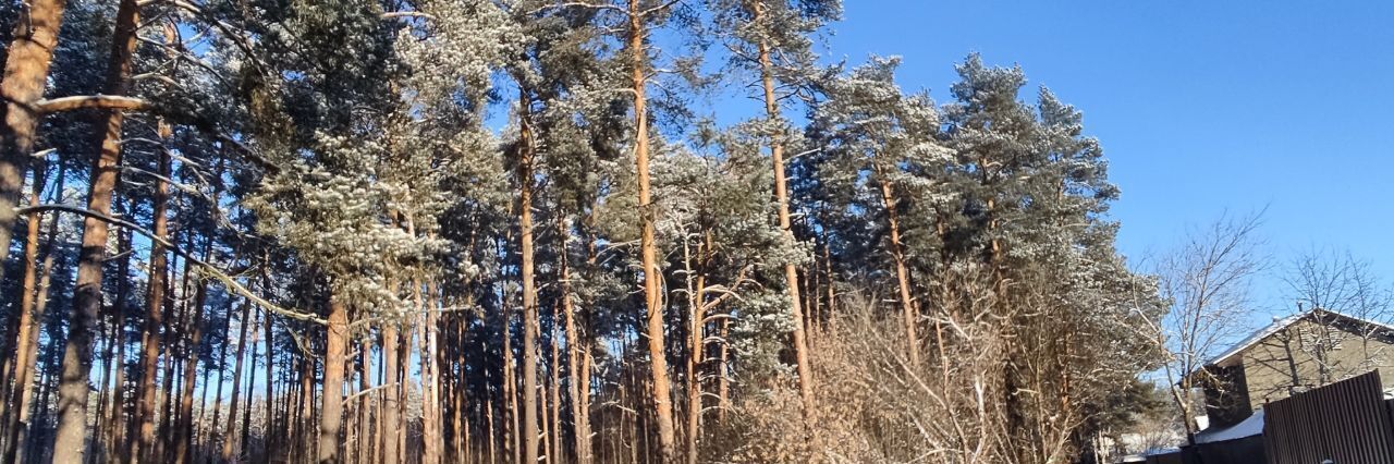 земля городской округ Раменский с Татаринцево фото 5