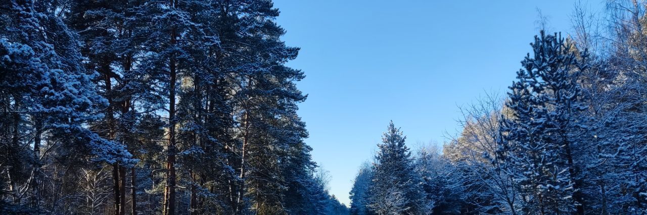 земля городской округ Раменский с Татаринцево фото 2