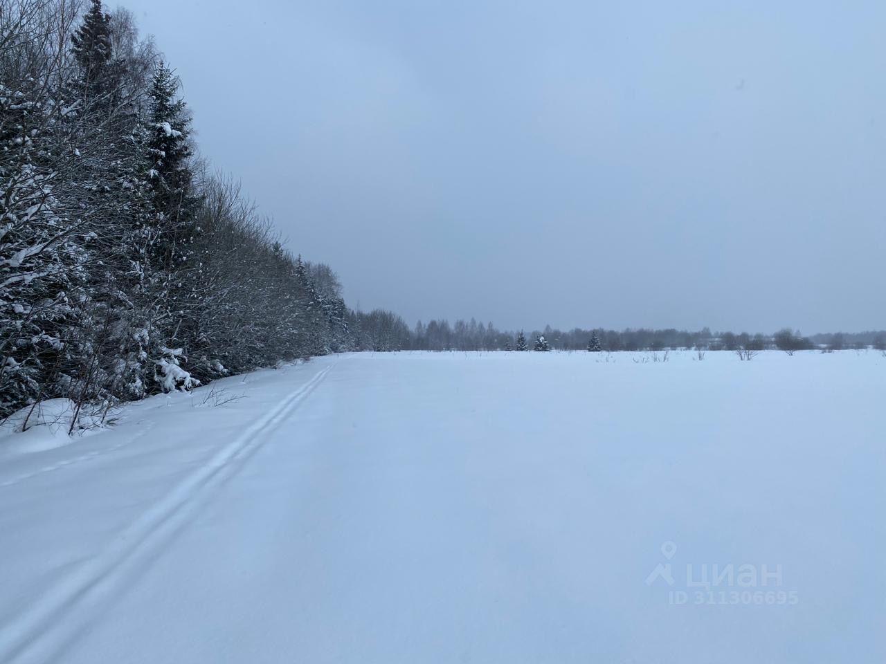 земля городской округ Одинцовский д Торхово 7 фото 1