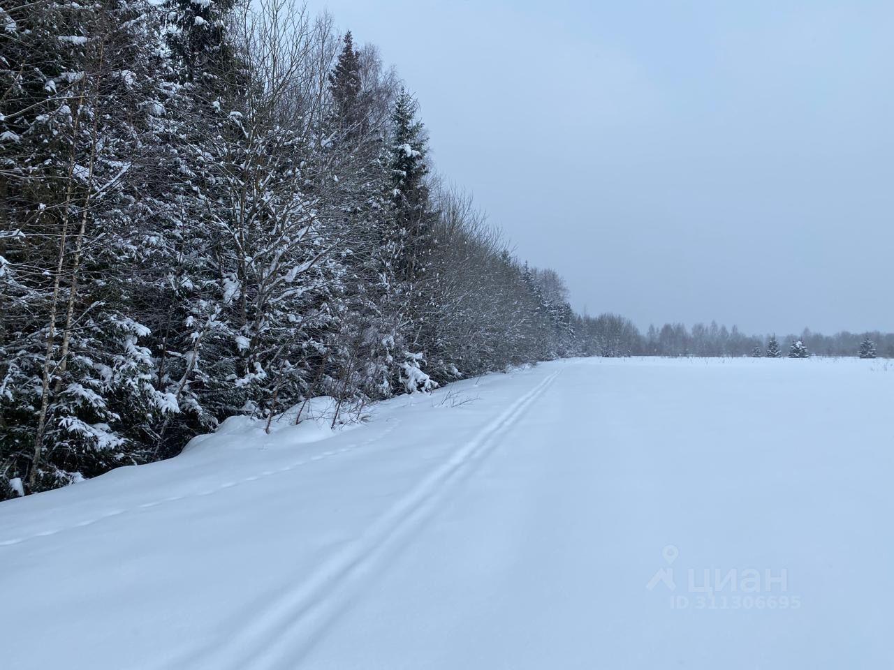 земля городской округ Одинцовский д Торхово 7 фото 3