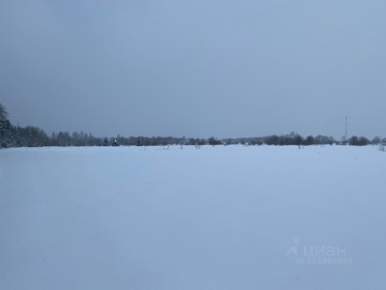 земля городской округ Одинцовский д Торхово 7 фото 6