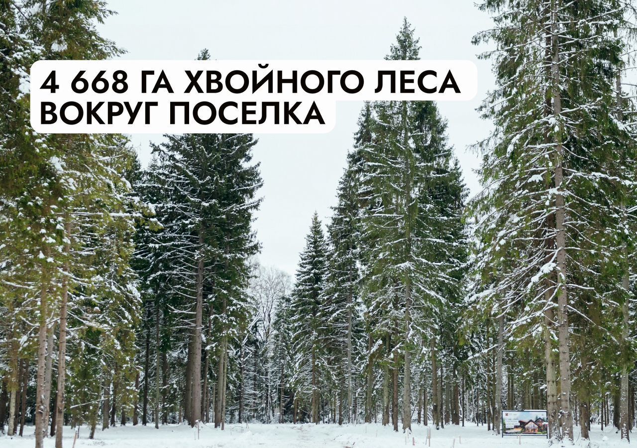 земля г Клин 54 км, эко-посёлок Ели Эстейт, Новопетровское, Ленинградское шоссе фото 9