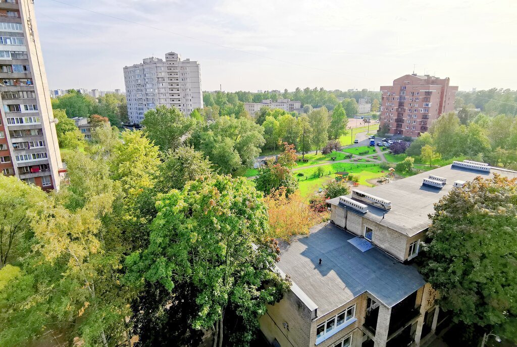 квартира г Санкт-Петербург метро Ладожская пр-кт Заневский 59 округ Малая Охта фото 18