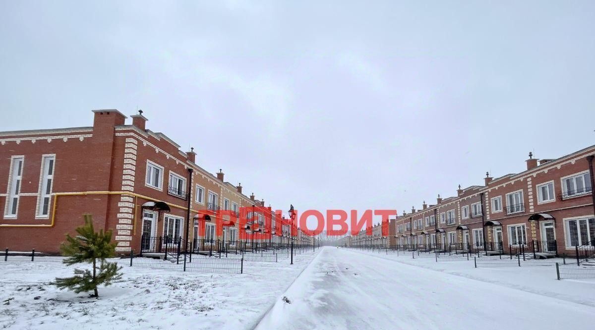 дом р-н Новосибирский п Элитный р-н мкр Березки сельсовет, 153, Мичуринский фото 3