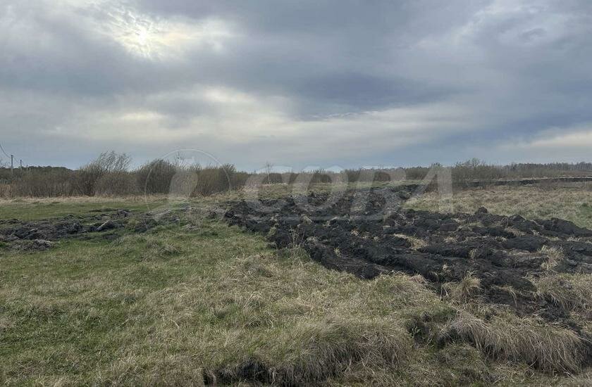 земля р-н Тюменский д Нариманова Наримановское сельское поселение фото 1