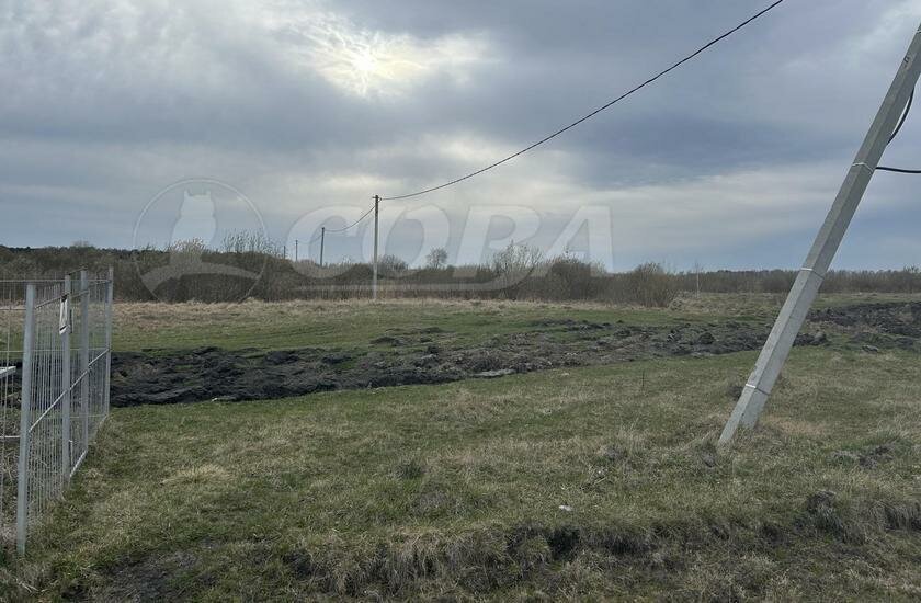 земля р-н Тюменский д Нариманова Наримановское сельское поселение фото 3